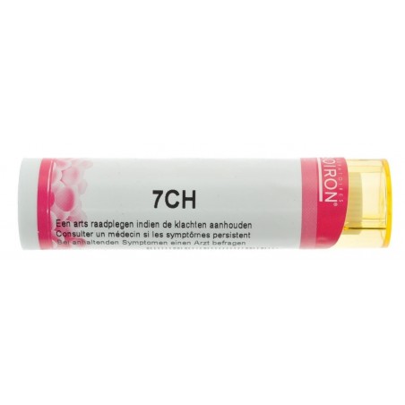 Origanum 7ch Origanum 7ch