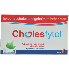 Cholesfytol Comprimés  28