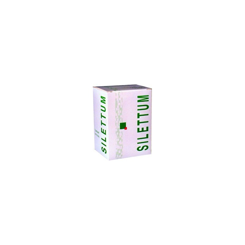 Silettum                     Gel 60