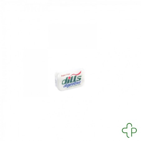 Dills Ginger & Lime Mints Zonder Suiker 15G