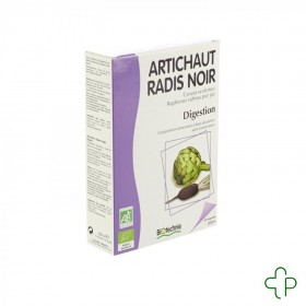 Artichaut-radis noir bio...