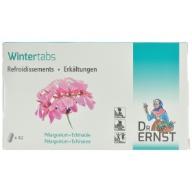 Dr Ernst Wintertabs Tabletten 42