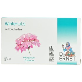 Dr ernst wintertabs comprimés 42