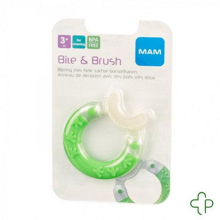 Mam bite  et  brush anneau dentition