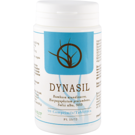 Dynasil Comprimés 90