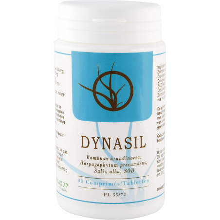 Dynasil Comprimés 90 Dynasil Comprimés 90
