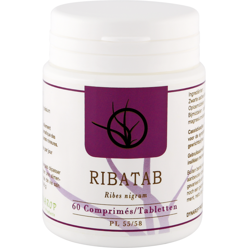 Ribatab Tabl 60x300mg Dynar