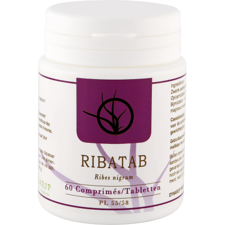 Ribatab Tabl 60x300mg Dynar Ribatab Tabl 60x300mg Dynar