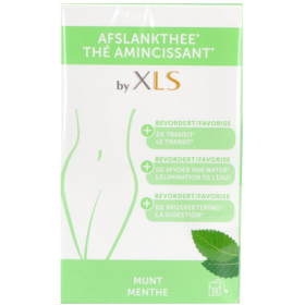 XLS THE AMINCISSANT GOUT MENTHE SACH 20