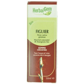 Herbalgem Figuier Macerat 50ml