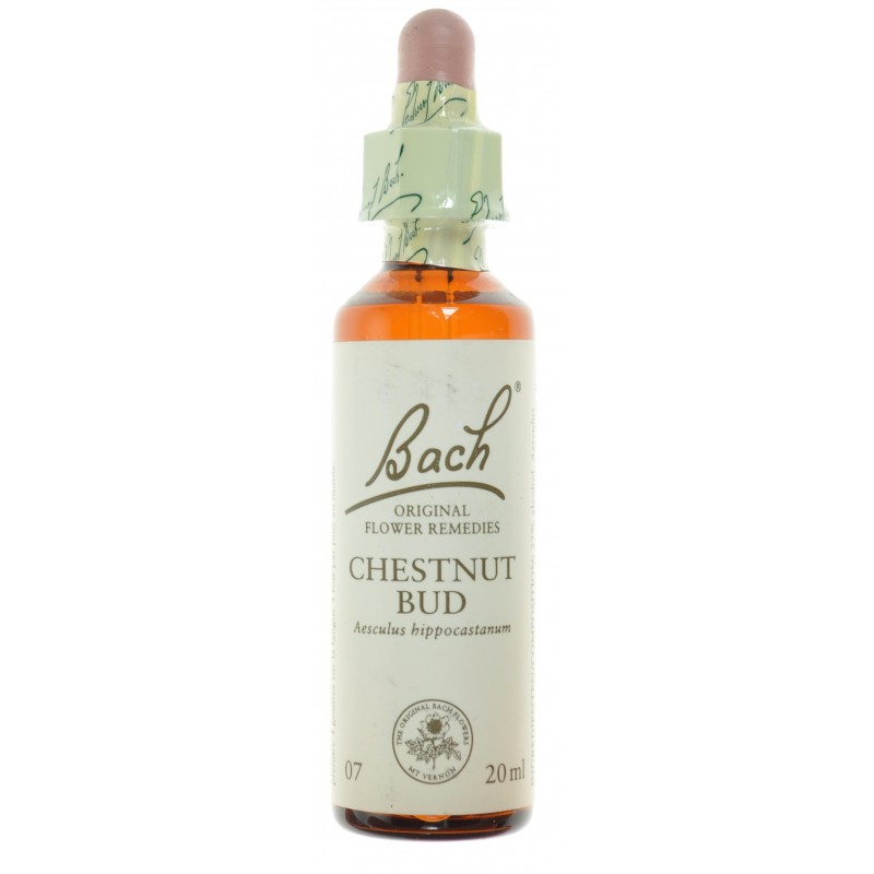 Fleurs de Bach 07 Chestnut Bud 20ml - Acheter en ligne