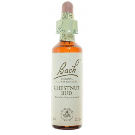 Fleurs de Bach 07 Chestnut Bud 20ml - Acheter en ligne Fleurs de Bach 07 Chestnut Bud 20ml - Acheter en ligne