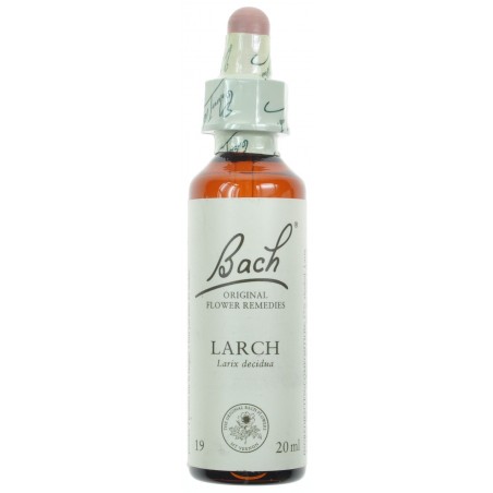 Bach Bach