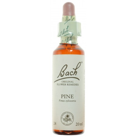 Bach Bloesem Pine 20ml