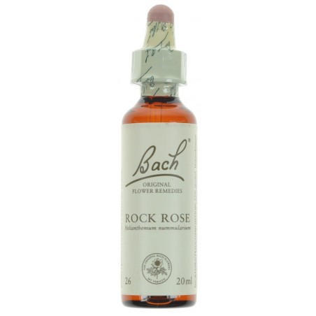 Bach Bach