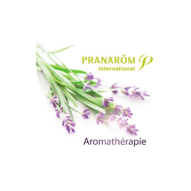 Aromalgic Huile Massage flacon Pompe 100ml - Acheter en ligne