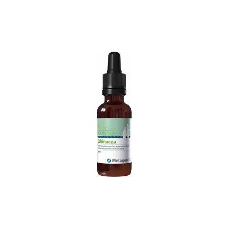 Echinacea Funciomed Gutt 30ml 31 Echinacea Funciomed Gutt 30ml 31