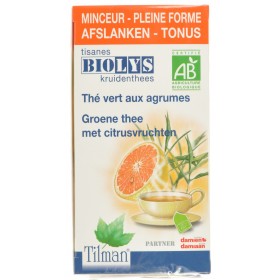 Biolys Thee Vert-Agrumes Bio 20 Zakjes