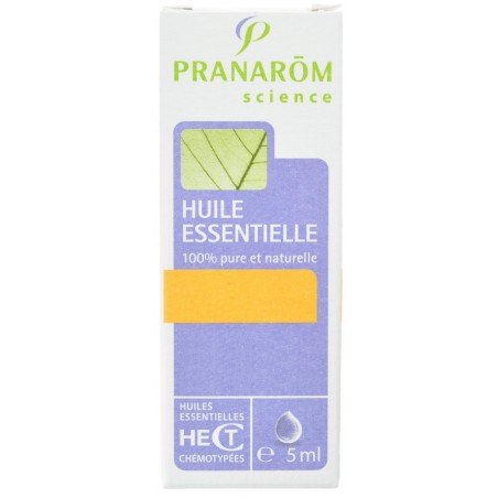 Sarriette des Jardins Huile Essentielle 5ml Sarriette des Jardins Huile Essentielle 5ml