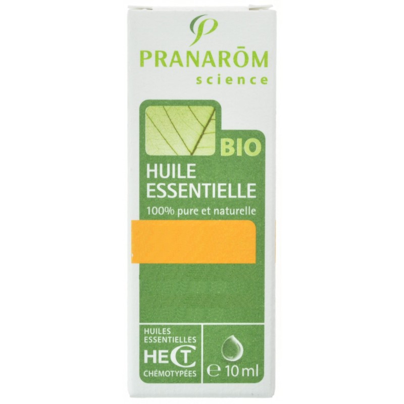 Sauge Officinal Bio Huile Essentielle 10ml