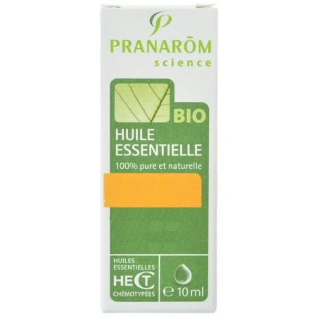 Sauge Officinal Bio Huile Essentielle 10ml Sauge Officinal Bio Huile Essentielle 10ml